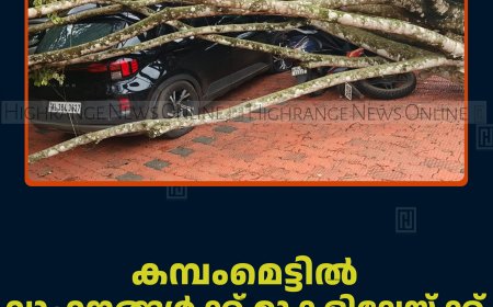 കമ്പംമെട്ടില്‍ വാഹനങ്ങള്‍ക്ക് മുകളിലേയ്ക്ക് മരം കടപുഴകി വീണു 