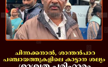 ചിന്നക്കനാല്‍, ശാന്തന്‍പാറ പഞ്ചായത്തുകളിലെ കാട്ടാന ശല്യം: ശാശ്വത പരിഹാരം ഫയലുകളില്‍ മാത്രം 