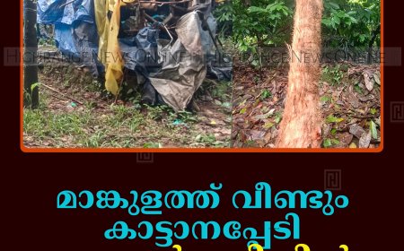 മാങ്കുളത്ത് വീണ്ടും കാട്ടാനപ്പേടി: ശേവല്‍കുടിയില്‍ വീട് തകര്‍ത്തു    