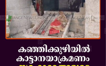 കഞ്ഞിക്കുഴിയില്‍ കാട്ടാനയാക്രമണം: സഹോദരങ്ങളുടെ വീടുകള്‍ തകര്‍ത്തു  