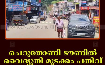 ചെറുതോണി ടൗണില്‍ വൈദ്യുതി മുടക്കം പതിവ്: വ്യാപാരികള്‍ പ്രതിസന്ധിയില്‍   