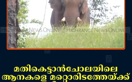 മതികെട്ടാന്‍ചോലയിലെ ആനകളെ മറ്റൊരിടത്തേയ്ക്ക് മാറ്റിയേക്കും: വനംവകുപ്പ് പഠനം തുടങ്ങി