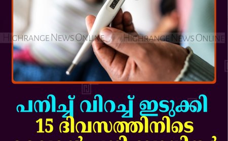 പനിച്ച് വിറച്ച് ഇടുക്കി: 15 ദിവസത്തിനിടെ വൈറല്‍ പനി ബാധിതര്‍ 4506 പേര്‍ 