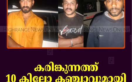 കരിങ്കുന്നത്ത് 10 കിലോ കഞ്ചാവുമായി 3 യുവാക്കള്‍ പിടിയില്‍ 