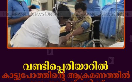 വണ്ടിപ്പെരിയാറില്‍ കാട്ടുപോത്തിന്റെ ആക്രമണത്തില്‍ വനപാലകന് പരിക്ക്