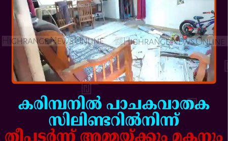 കരിമ്പനില്‍ പാചകവാതക സിലിണ്ടറില്‍നിന്ന് തീപടര്‍ന്ന് അമ്മയ്ക്കും മകനും ഗുരുതര പരിക്ക് 
