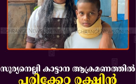 സൂര്യനെല്ലി കാട്ടാന ആക്രമണത്തില്‍ പരിക്കേറ്റ രക്ഷിന്‍ ആശുപത്രിവിട്ടു   