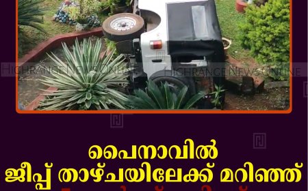 പൈനാവില്‍ ജീപ്പ് താഴ്ചയിലേക്ക് മറിഞ്ഞ് 5 പേര്‍ക്ക് പരിക്ക്    