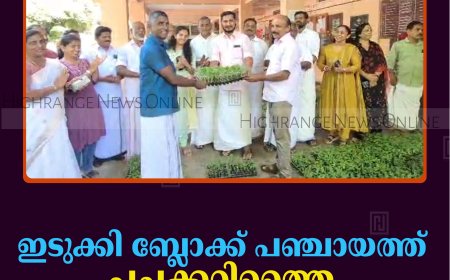 ഇടുക്കി ബ്ലോക്ക് പഞ്ചായത്ത് പച്ചക്കറിത്തൈ വിതരണം ചെയ്തു 