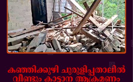 കഞ്ഞിക്കുഴി ചുരുളിപ്പതാലില്‍ വീണ്ടും കാട്ടാന ആക്രമണം: വീട് തകര്‍ത്തു