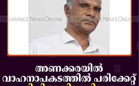 അണക്കരയില്‍ വാഹനാപകടത്തില്‍ പരിക്കേറ്റ് ചികിത്സയിലായിരുന്ന വയോധികന്‍ മരിച്ചു 