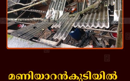 മണിയാറന്‍കുടിയില്‍ മരം വീണ് വീട് തകര്‍ന്നു