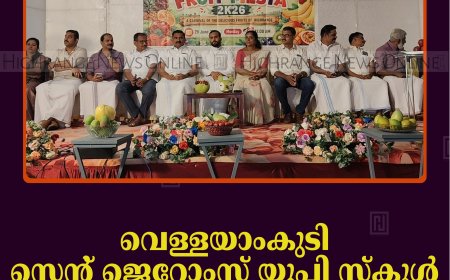 വെള്ളയാംകുടി സെന്റ് ജെറോംസ് യുപി സ്‌കൂള്‍ ഫ്രൂട്ട് ഫെസ്റ്റ് നടത്തി  