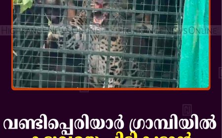 വണ്ടിപ്പെരിയാര്‍ ഗ്രാമ്പിയില്‍ കടുവയെ പിടികൂടാന്‍ സ്ഥാപിച്ച കൂട്ടില്‍ പുലി കുടുങ്ങി