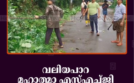 വലിയപാറ മഹാത്മാ എസ്എച്ച്ജി മഴക്കാല ശുചീകരണം നടത്തി