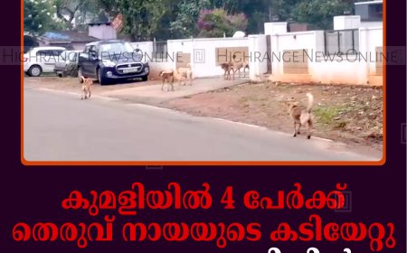 കുമളിയില്‍ 4 പേര്‍ക്ക് തെരുവ് നായയുടെ കടിയേറ്റു: ഗവ. ആശുപത്രിയില്‍ വാക്‌സിന്‍ ഇല്ല