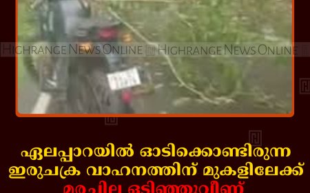 ഏലപ്പാറയില്‍ ഓടിക്കൊണ്ടിരുന്ന ഇരുചക്ര വാഹനത്തിന് മുകളിലേക്ക് മരച്ചില്ല ഒടിഞ്ഞുവീണ് യുവാവ് മരിച്ചു