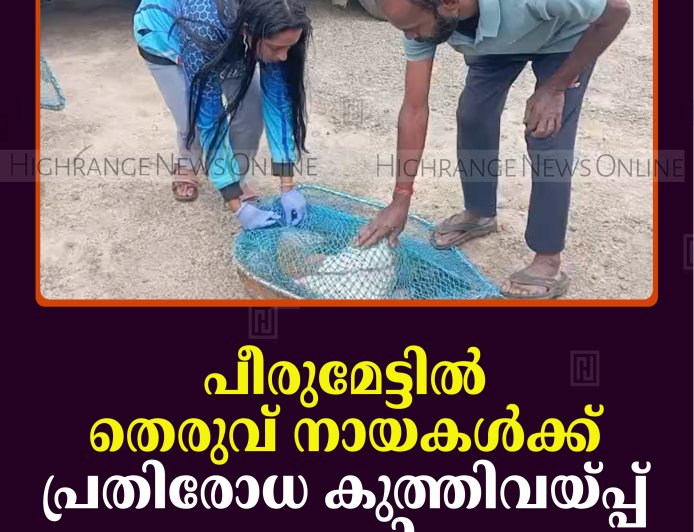 പീരുമേട്ടില്‍ തെരുവ് നായകള്‍ക്ക് പ്രതിരോധ കുത്തിവയ്പ്പ് ആരംഭിച്ചു