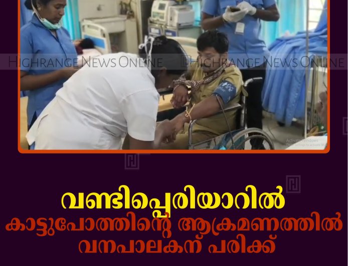 വണ്ടിപ്പെരിയാറില്‍ കാട്ടുപോത്തിന്റെ ആക്രമണത്തില്‍ വനപാലകന് പരിക്ക്