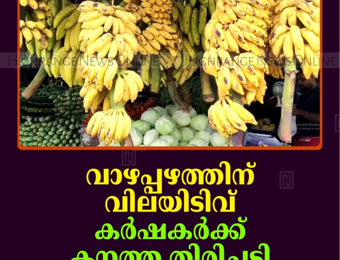 വാഴപ്പഴത്തിന് വിലയിടിവ്: കര്‍ഷകര്‍ക്ക് കനത്ത തിരിച്ചടി