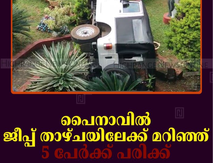 പൈനാവില്‍ ജീപ്പ് താഴ്ചയിലേക്ക് മറിഞ്ഞ് 5 പേര്‍ക്ക് പരിക്ക്    
