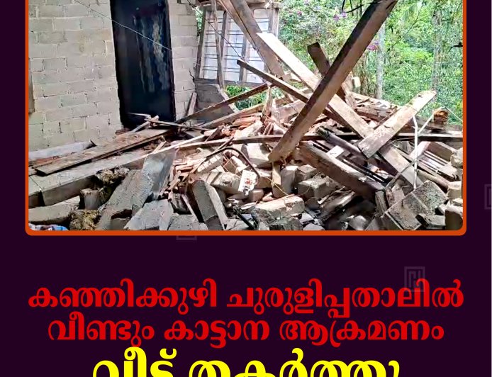 കഞ്ഞിക്കുഴി ചുരുളിപ്പതാലില്‍ വീണ്ടും കാട്ടാന ആക്രമണം: വീട് തകര്‍ത്തു