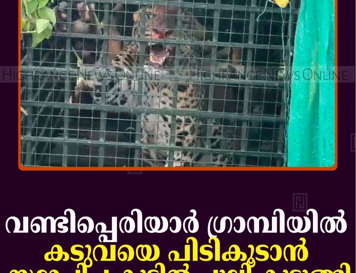 വണ്ടിപ്പെരിയാര്‍ ഗ്രാമ്പിയില്‍ കടുവയെ പിടികൂടാന്‍ സ്ഥാപിച്ച കൂട്ടില്‍ പുലി കുടുങ്ങി