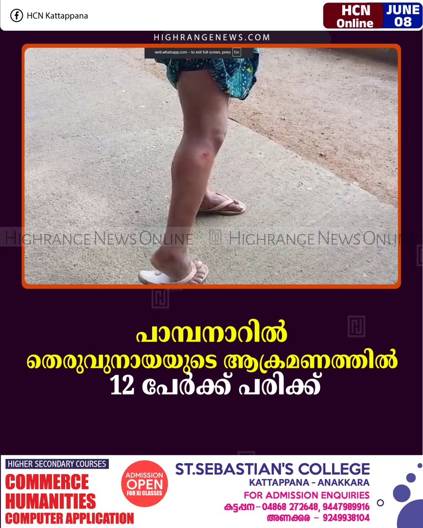 പാമ്പനാറില്‍ തെരുവുനായയുടെ ആക്രമണത്തില്‍ 12 പേര്‍ക്ക് പരിക്ക്