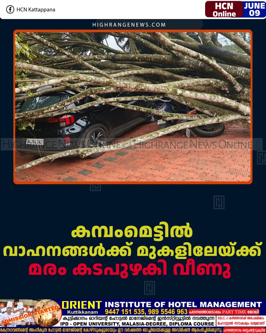 കമ്പംമെട്ടില്‍ വാഹനങ്ങള്‍ക്ക് മുകളിലേയ്ക്ക് മരം കടപുഴകി വീണു 