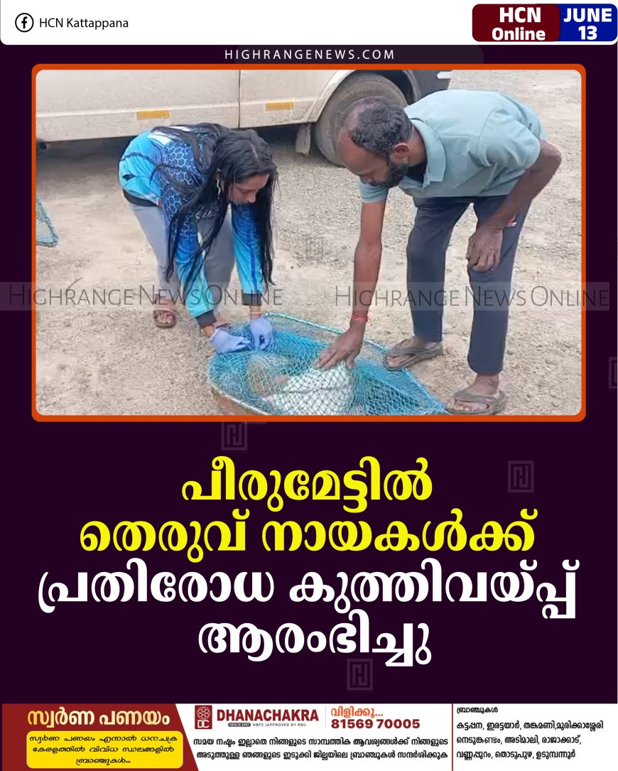 പീരുമേട്ടില്‍ തെരുവ് നായകള്‍ക്ക് പ്രതിരോധ കുത്തിവയ്പ്പ് ആരംഭിച്ചു