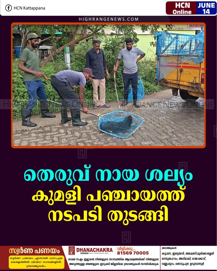 തെരുവ് നായ ശല്യം: കുമളി പഞ്ചായത്ത് നടപടി തുടങ്ങി