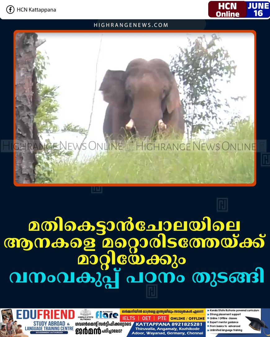 മതികെട്ടാന്‍ചോലയിലെ ആനകളെ മറ്റൊരിടത്തേയ്ക്ക് മാറ്റിയേക്കും: വനംവകുപ്പ് പഠനം തുടങ്ങി