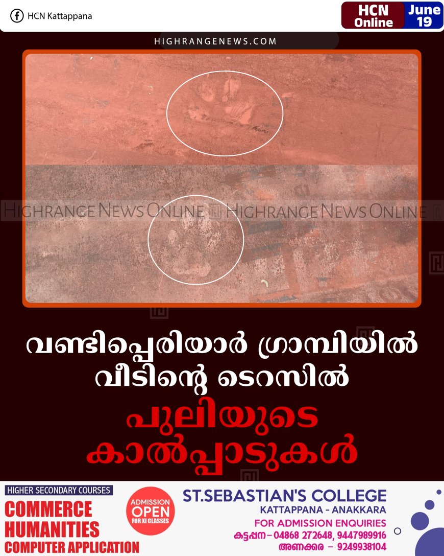വണ്ടിപ്പെരിയാര്‍ ഗ്രാമ്പിയില്‍ വീടിന്റെ ടെറസില്‍ പുലിയുടെ കാല്‍പ്പാടുകള്‍