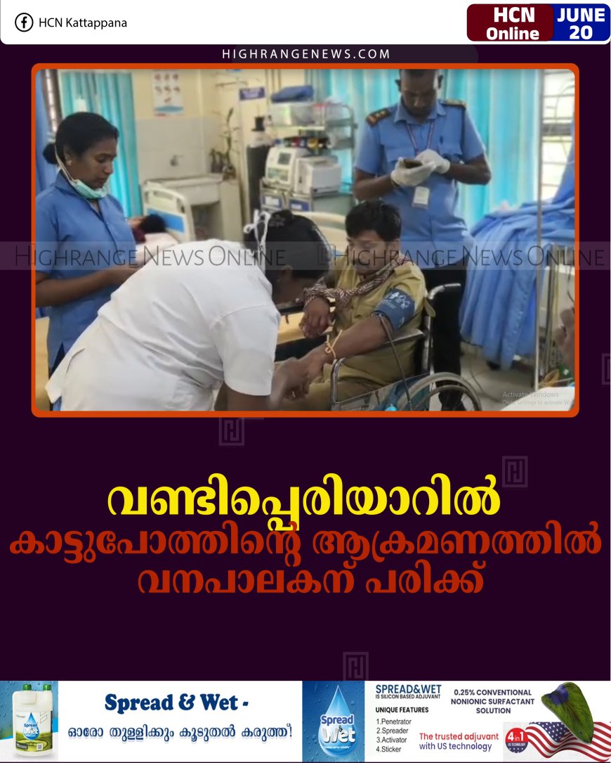 വണ്ടിപ്പെരിയാറില്‍ കാട്ടുപോത്തിന്റെ ആക്രമണത്തില്‍ വനപാലകന് പരിക്ക്