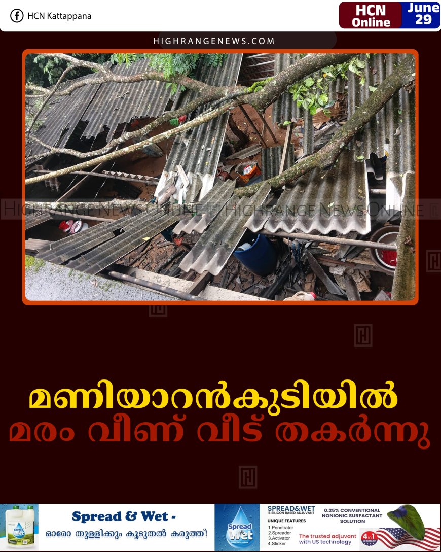 മണിയാറന്‍കുടിയില്‍ മരം വീണ് വീട് തകര്‍ന്നു