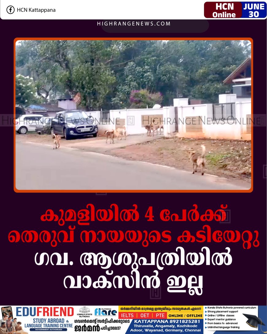 കുമളിയില്‍ 4 പേര്‍ക്ക് തെരുവ് നായയുടെ കടിയേറ്റു: ഗവ. ആശുപത്രിയില്‍ വാക്‌സിന്‍ ഇല്ല