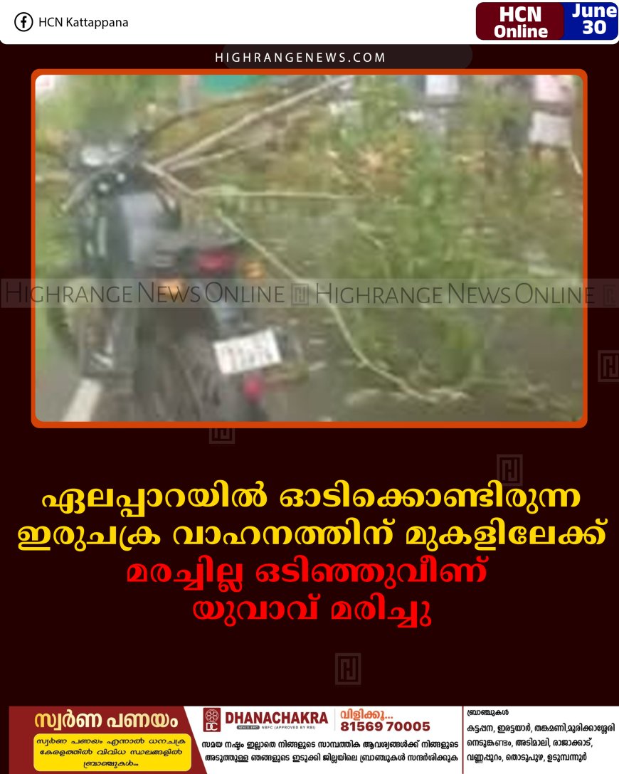 ഏലപ്പാറയില്‍ ഓടിക്കൊണ്ടിരുന്ന ഇരുചക്ര വാഹനത്തിന് മുകളിലേക്ക് മരച്ചില്ല ഒടിഞ്ഞുവീണ് യുവാവ് മരിച്ചു