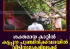 ശക്തമായ കാറ്റില്‍ കട്ടപ്പന പുഞ്ചിരിക്കവലയില്‍ വീടിനുമുകളിലേക്ക് മരം കടപുഴകി വീണു  