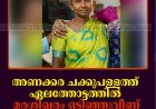 അണക്കര ചക്കുപള്ളത്ത് ഏലത്തോട്ടത്തില്‍ മരശിഖരം ഒടിഞ്ഞുവീണ് തൊഴിലാളി മരിച്ചു