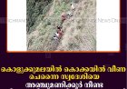 കൊളുക്കുമലയില്‍ കൊക്കയില്‍ വീണ ചെന്നൈ സ്വദേശിയെ അഞ്ചുമണിക്കൂര്‍ നീണ്ട പരിശ്രമത്തിനൊടുവില്‍ രക്ഷപെടുത്തി