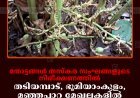 തോട്ടങ്ങള്‍ തസ്‌കരസംഘങ്ങളുടെ നിരീക്ഷണത്തില്‍: തടിയമ്പാട്, ഭൂമിയാംകുളം, മഞ്ഞപ്പാറ മേഖലകളില്‍ പച്ചഏലക്ക മോഷണം വ്യാപകം
