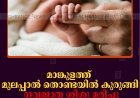 മാങ്കുളത്ത് മുലപ്പാല്‍ തൊണ്ടയില്‍ കുരുങ്ങി നവജാത ശിശു മരിച്ചു