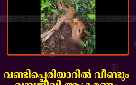 വണ്ടിപ്പെരിയാറില്‍ വീണ്ടും വന്യജീവി ആക്രമണം: പശു ചത്തനിലയില്‍