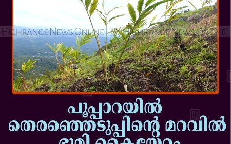 പൂപ്പാറയില്‍ തെരഞ്ഞെടുപ്പിന്റെ മറവില്‍ ഭൂമി കൈയേറ്റം: 100 ഏക്കര്‍ ഭൂമി കൈയേറി കൃഷിയിറക്കി   