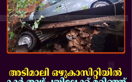 അടിമാലി ഒഴുകാസിറ്റിയില്‍ കാര്‍   താഴ്ചയിലേക്ക് മറിഞ്ഞ് ഒരാള്‍ക്ക് പരിക്ക്
