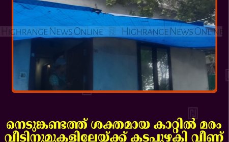 നെടുങ്കണ്ടത്ത് ശക്തമായ കാറ്റില്‍ മരം വീടിനുമുകളിലേയ്ക്ക് കടപുഴകി വീണ് വിദ്യാര്‍ഥിനിക്ക് പരിക്ക് 