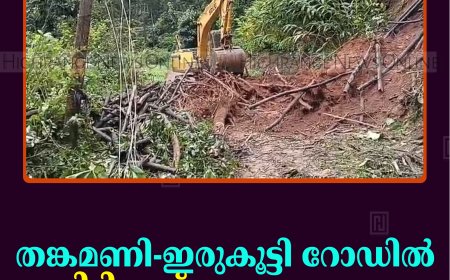തങ്കമണി-ഇരുകൂട്ടി റോഡില്‍ മണ്ണിടിഞ്ഞ് ഗതാഗത തടസം         