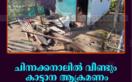 ചിന്നക്കനാലില്‍  വീണ്ടും കാട്ടാന ആക്രമണം: ജനവാസമേഖലയിലിറങ്ങിയ ആന വീട് തകര്‍ത്തു