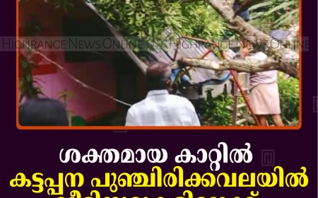 ശക്തമായ കാറ്റില്‍ കട്ടപ്പന പുഞ്ചിരിക്കവലയില്‍ വീടിനുമുകളിലേക്ക് മരം കടപുഴകി വീണു  