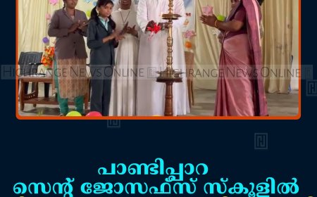 പാണ്ടിപ്പാറ സെന്റ് ജോസഫ്‌സ് സ്‌കൂളില്‍ വിദ്യാരംഗം കലാസാഹിത്യ വേദി ഉദ്ഘാടനംചെയ്തു  